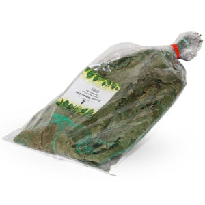 Saunavihta  punainen tammi