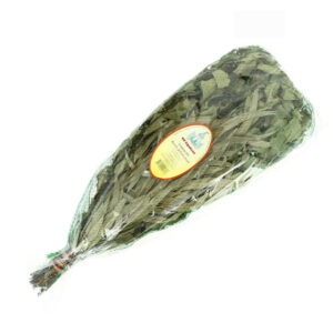 Saunavihta eucalyptus